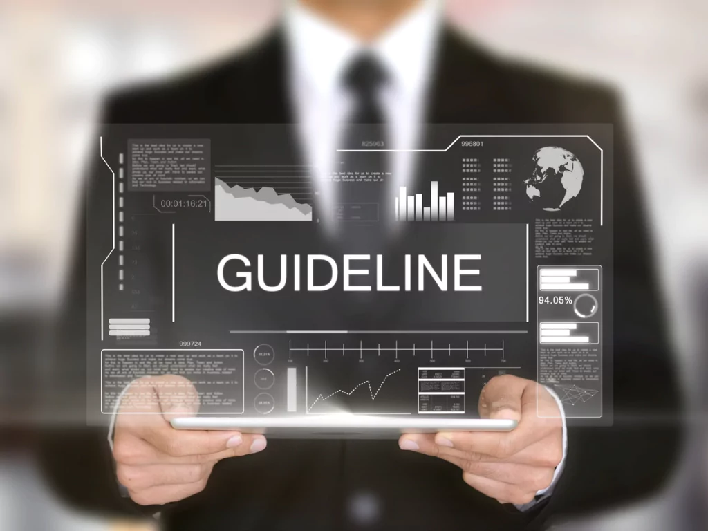 guideline on data quality